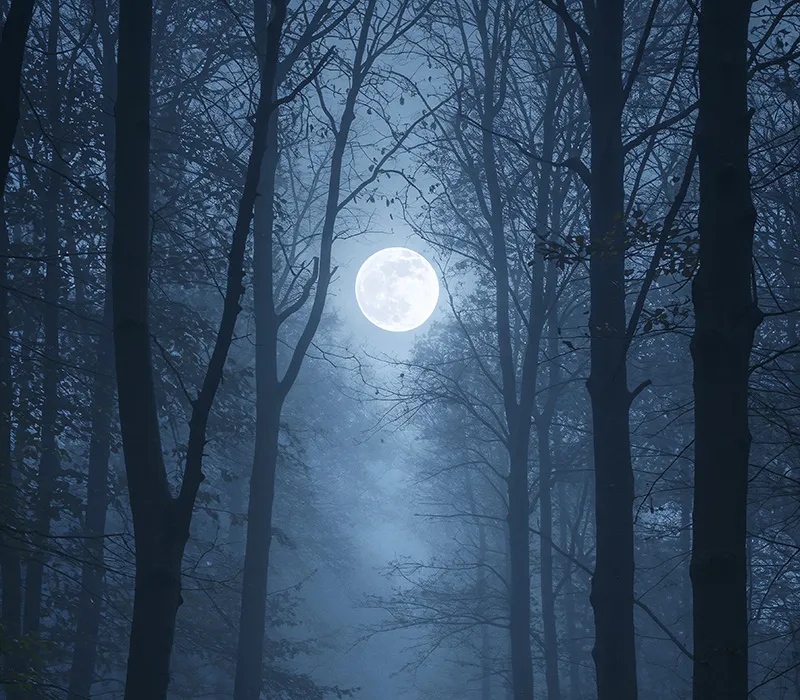 Pleine lune illustrant la légende des Truffières de Beauregard