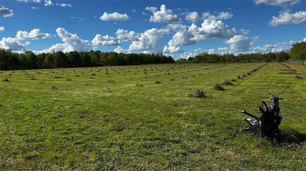 Truffière de Lignières-de-Touraine – Truffières de Beauregard